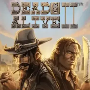 Big win on Dead or Alive 2 at Royal Reels Casino